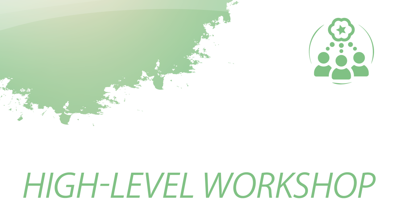 Workshop eHealth EWRC