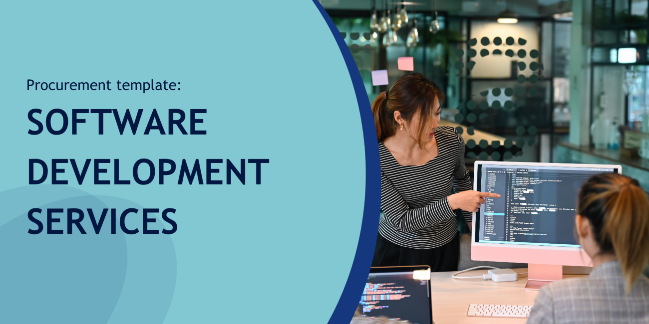 Software development services