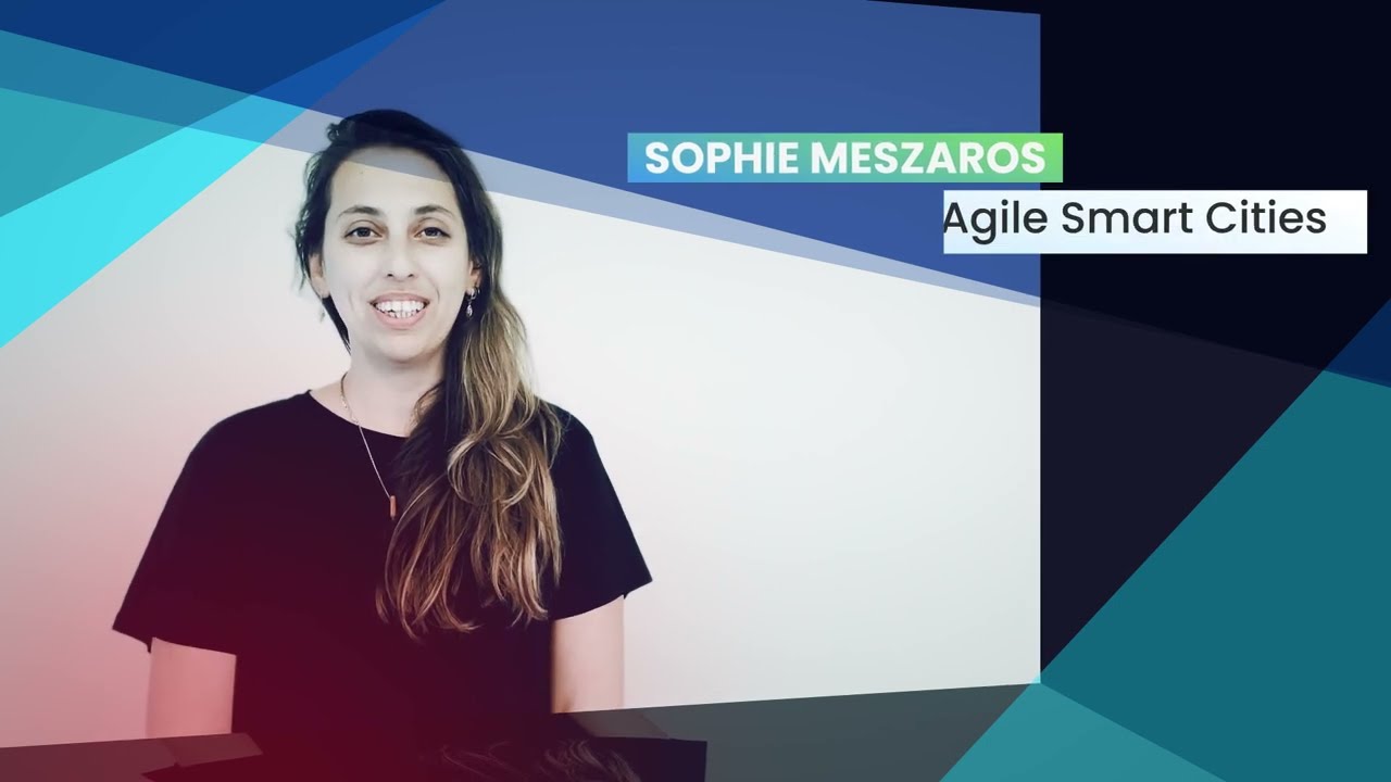 Introduction to Data Spaces in Smart Cities and Communities